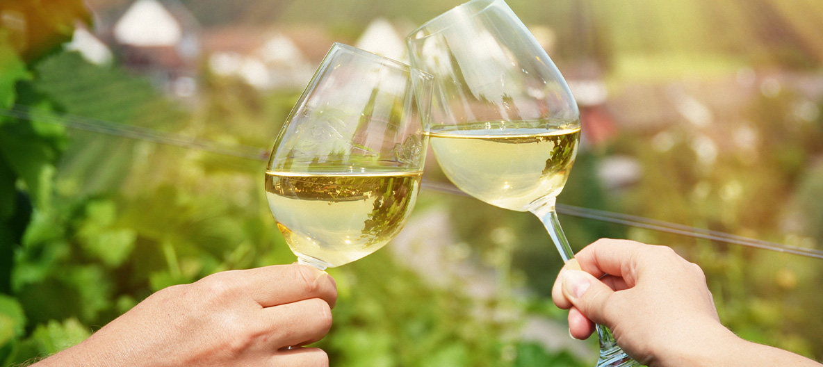 Two glasses of white wine with grapes